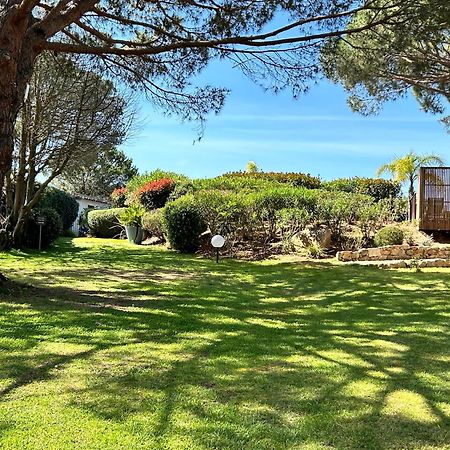 Villa Les Pins De Santa Giulia Porto Vecchio Esterno foto