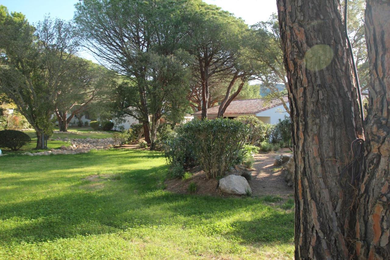 Villa Les Pins De Santa Giulia Porto Vecchio Esterno foto