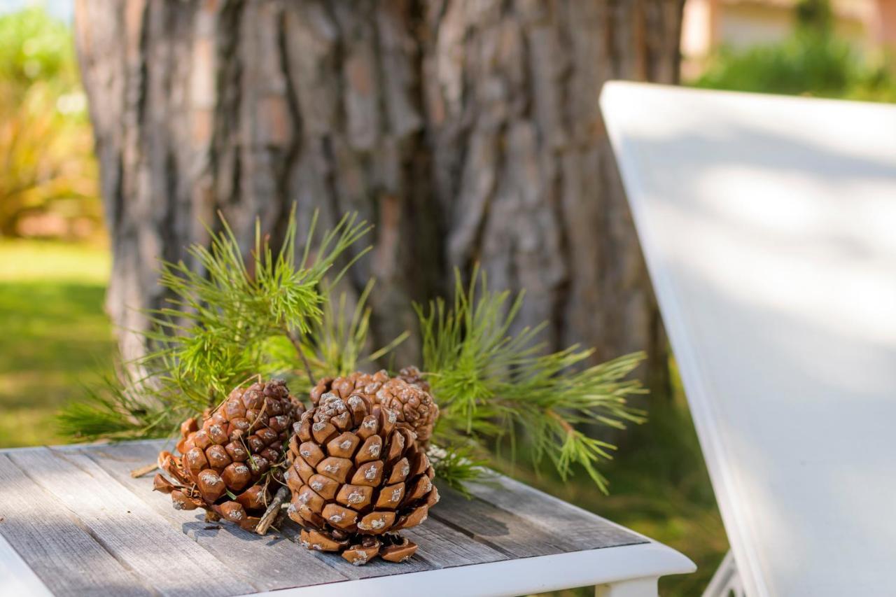 Villa Les Pins De Santa Giulia Porto Vecchio Esterno foto